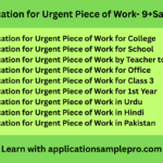 Application for Urgent Piece of Work- 9+Samples
