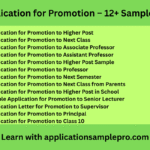 Application for Promotion – 12+ Samples